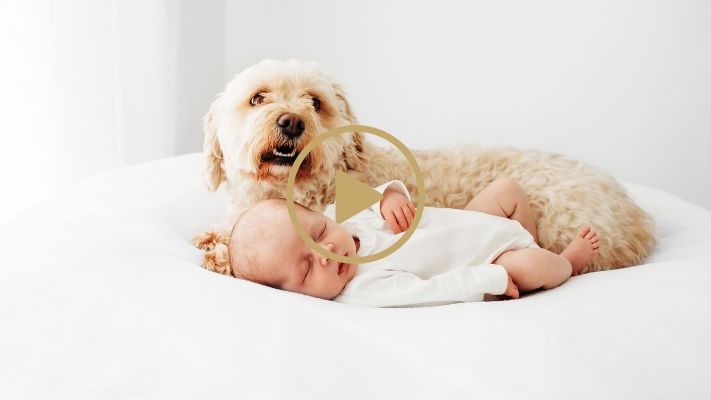 Newborn-Pet-Photoshoot-Shan-Fisher